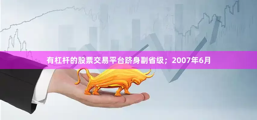 有杠杆的股票交易平台跻身副省级；2007年6月