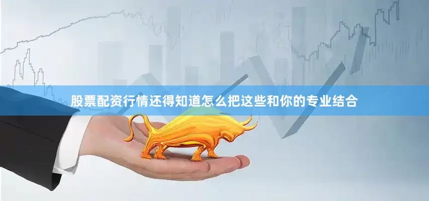 股票配资行情还得知道怎么把这些和你的专业结合